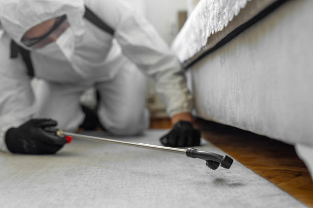Professional Bed Bug Control technician working in Hagerstown, MD