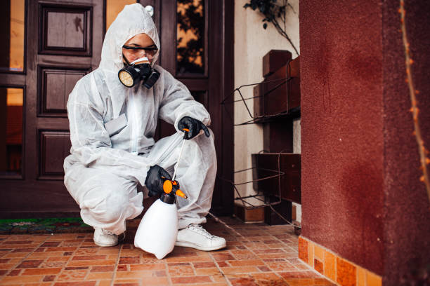 Reliable Bed Bug Control contractor in Hagerstown, MD by Nex Pest Control